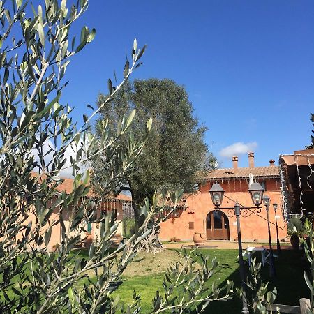 Poggio Dei Cavalieri Bed & Breakfast Boccea Dış mekan fotoğraf
